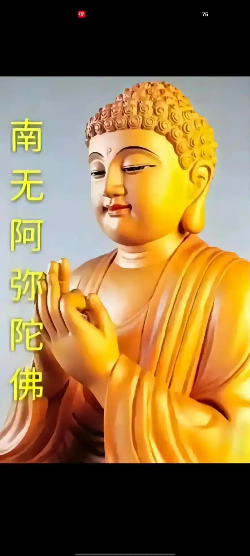 我每天发一次 "南无阿弥陀佛"!  请您每天看见了就念一句: - 抖音