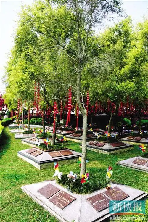 树葬,草坪葬,花坛葬…广州将建全省首个艺术墓碑园