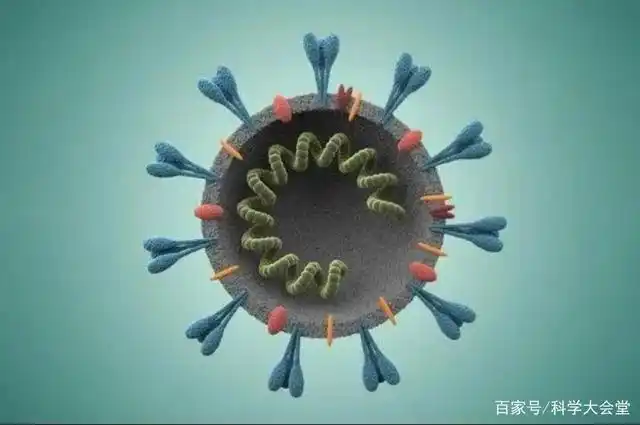 近期新冠病毒变异!