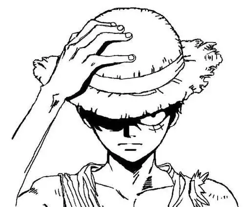 求一张路飞图片 要求黑白线条 很标准 没有任何地方有整块黑色