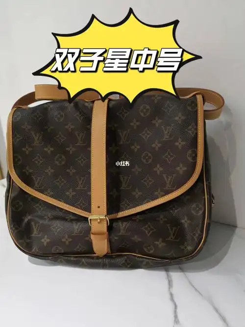 酷飒的双子星中号