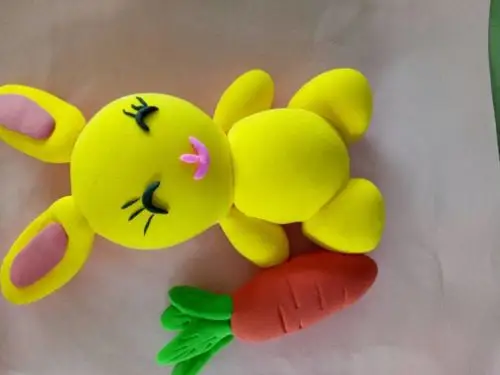 舜德小学一年级2班彩泥社团 - 美篇