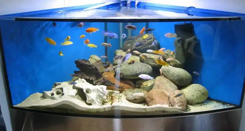 三湖鱼缸的造景(原创)——暨三湖鱼缸布景专栏