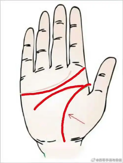 贤妻良母的手相特征