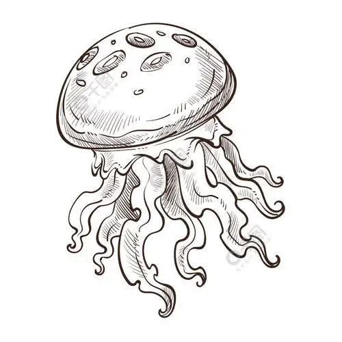 海洋动物水母孤立素描水下生物与触须矢量野生物种航海符号野生动物