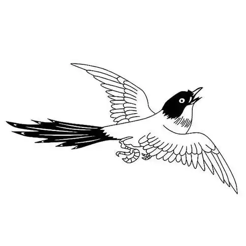 喜鹊简笔画 喜鹊简笔画简单又漂亮