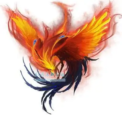 很多人将其认为是凤凰或是凤凰的一种,但实际上朱雀与凤凰存在极大的