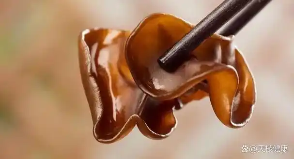 木耳的妙用化瘀降脂调痔疮