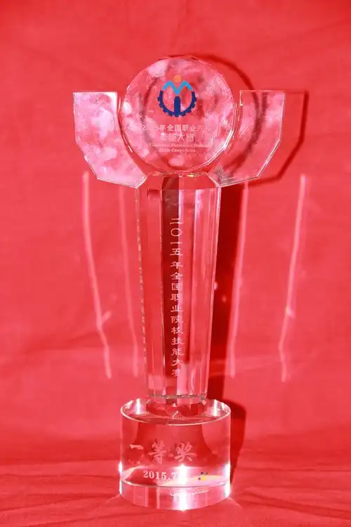 全国一等奖 第一名 奖杯(2015)