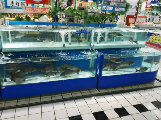 独家直击北京各大超市今起销售活鱼现场