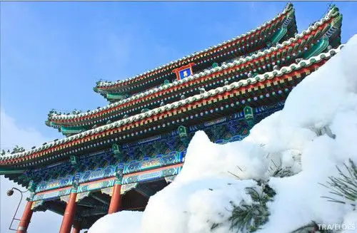 一场雪爱上一座城:2014年的北京雪景