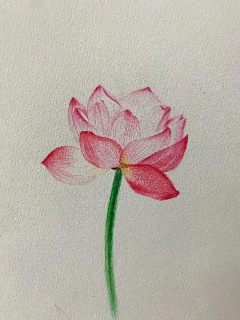 创作灵感 #画画 #自学画画打卡 #动手画画 #画画零基础 - 抖音