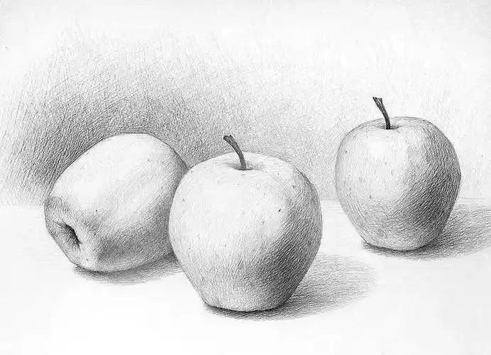 外国美院学生画的静物素描,如此质朴自然!