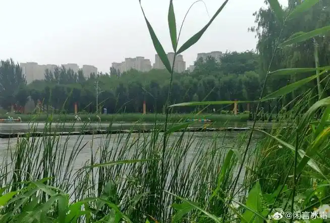 你印象中夏天的样子##夏天