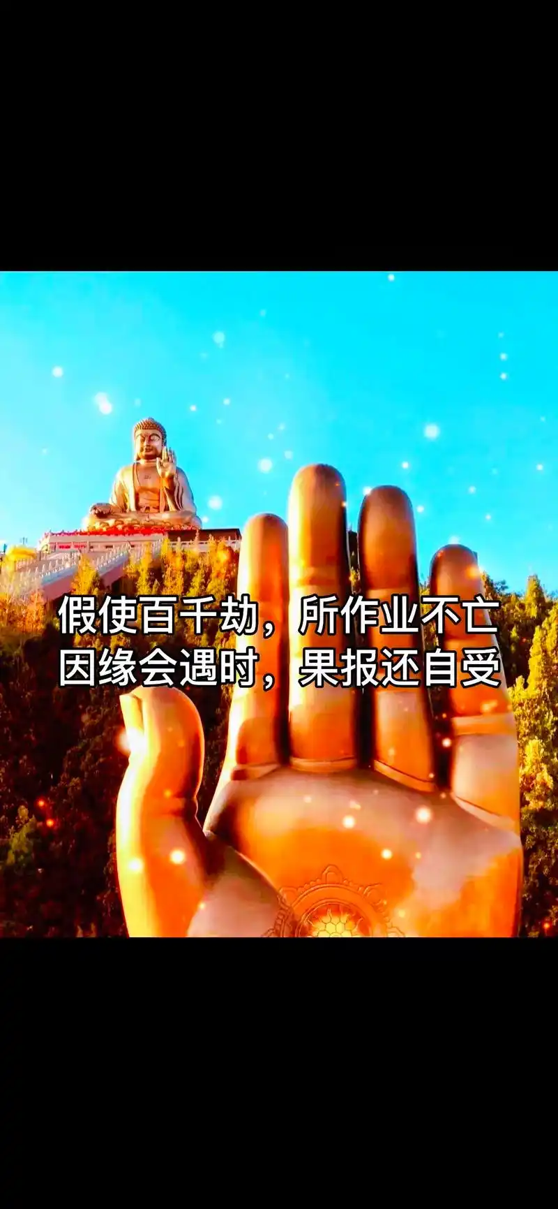 天道有轮回,苍天饶过谁?因果不是宗教教化的戒条,是人人心中的 - 抖音