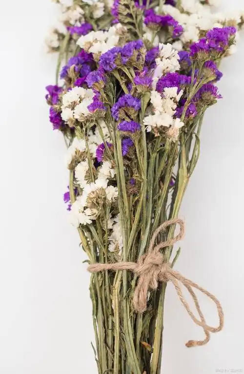 花香悠悠:探寻干花长期保存的方法