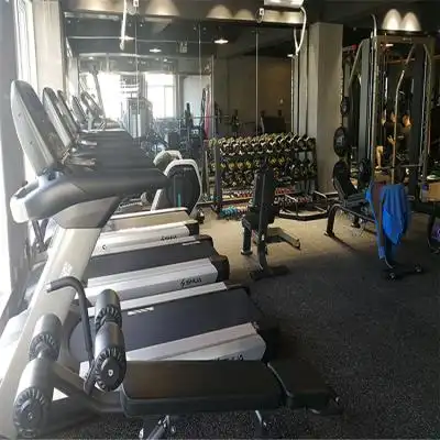 跃羚室内体育器材 家用小型健身器械 划船器 卧式健身车