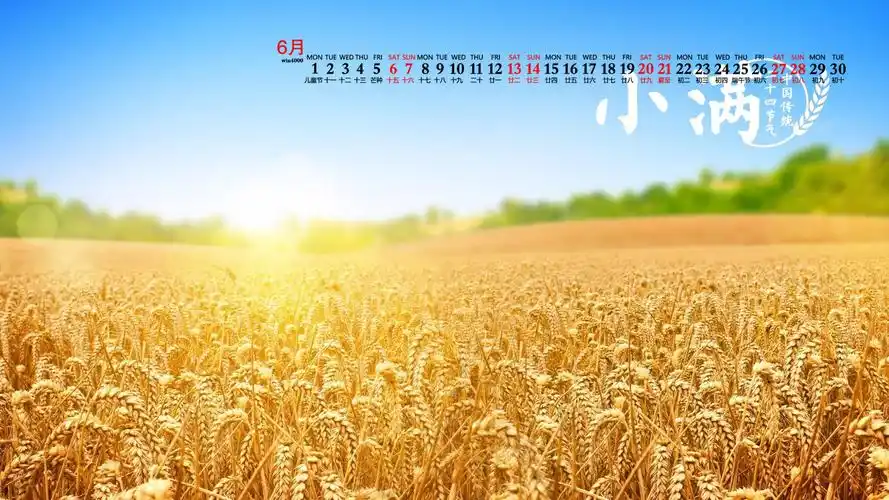 2020年6月小满节气唯美高清日历壁纸