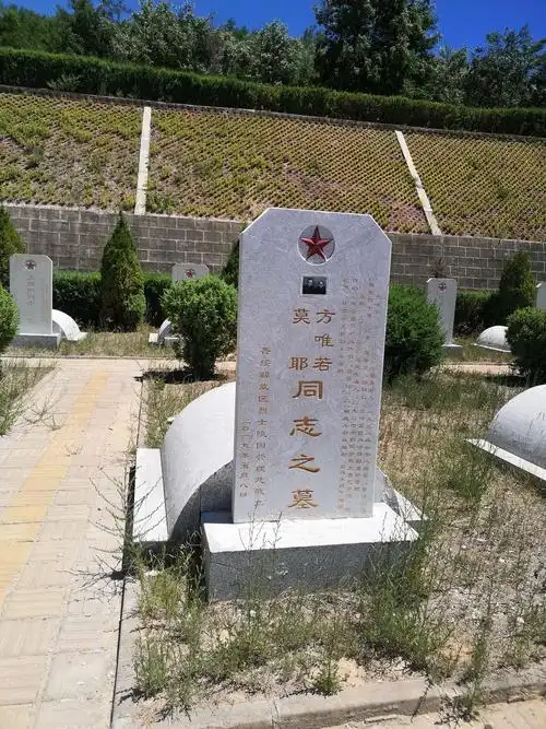 祭拜,贺晓明大姐(贺龙之女)组织这些后代特在晋绥烈士陵园设立衣冠冢