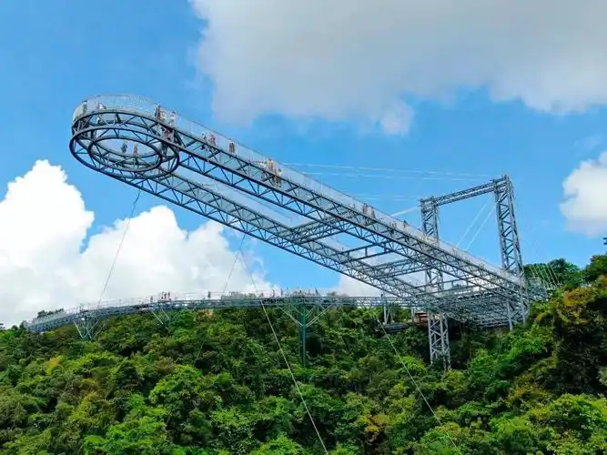 还能这么玩?潮人新年狂欢趴,1元玩转数字城市三亚!_热带雨林