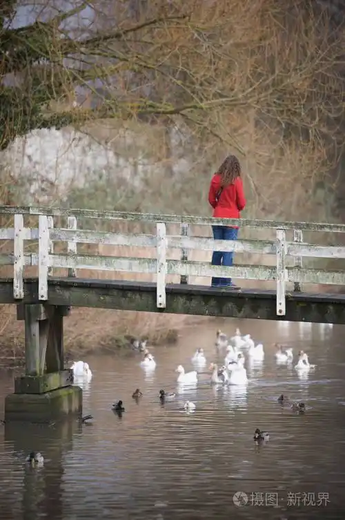 站在河边桥上的妇女与天鹅和鸭子的后景