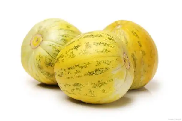 甜瓜是夏季最受欢迎的水果之一,其甜美的味道和多种多样的品种使其