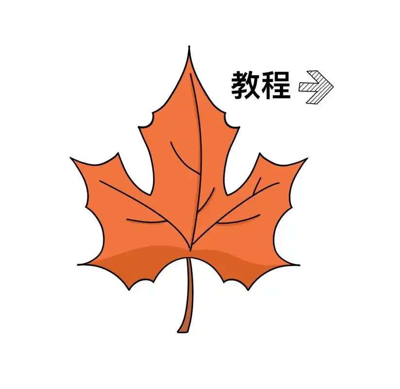 枫叶简笔画      简笔画教程