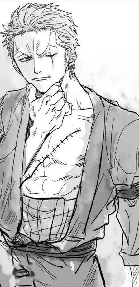 海贼王壁纸黑白索隆