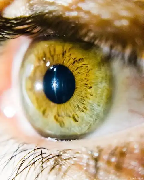 人的瞳孔会因为喜欢或激动而放大45