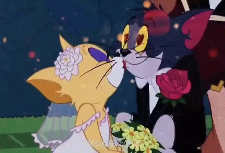 曾经汤姆撩过许多白猫偏偏就看上这只黄猫#怀旧 #童年 #猫和老鼠