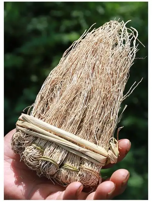 滋真堂粤北特产养肝草丝线根护肝草龙须草龙须根特色食材汤料煲汤料3