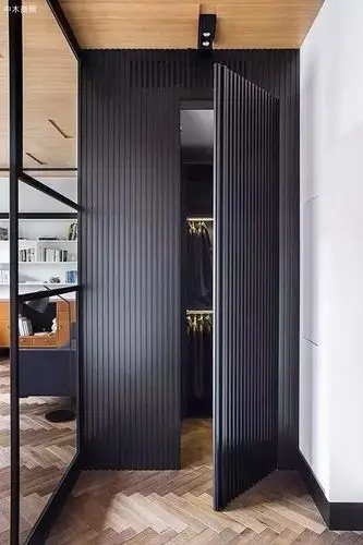 今年流行隐形门