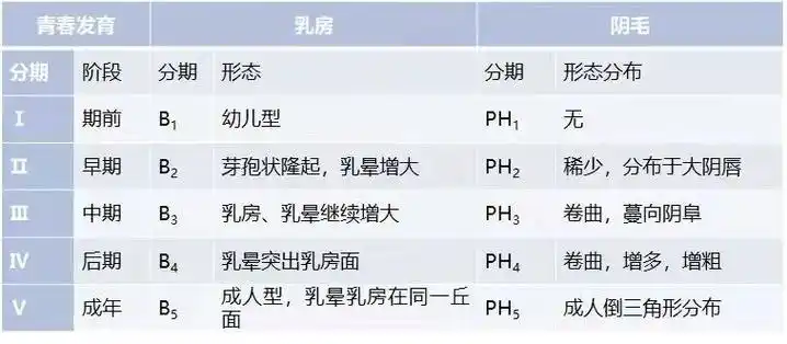 表1女性乳房,阴毛发育的tanner分期生长发育的速度存在个体差异,性