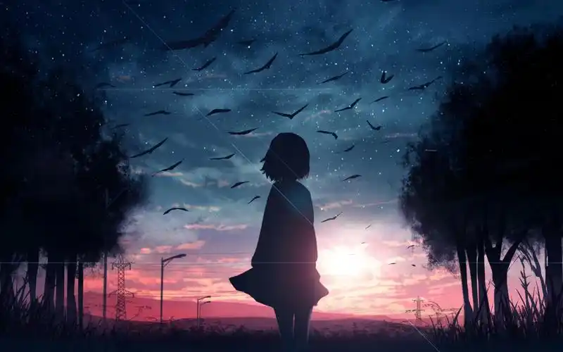 回车桌面>电脑壁纸>动漫卡通>动漫人物>动漫世界中的孤独背影>相关