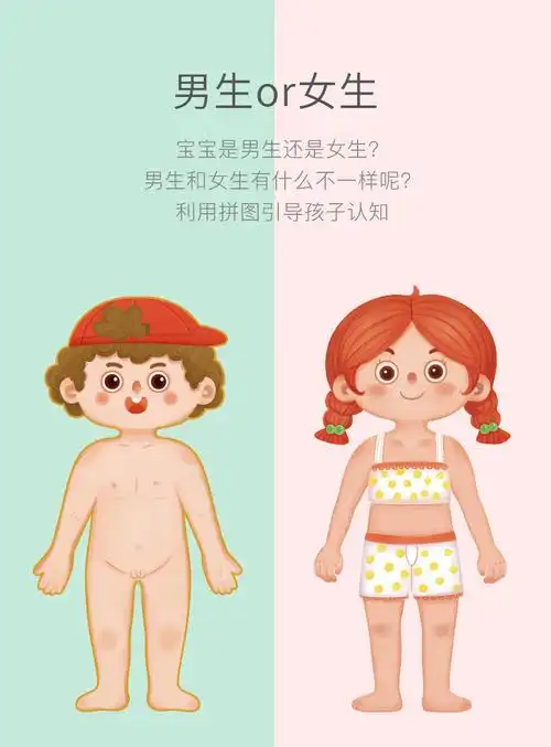 儿童认知男女孩人体身体结构拼图器官图片幼儿园教具早教益智玩具