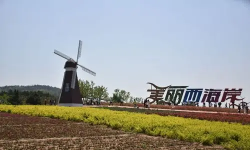 老张随手拍 - 青岛西海岸生态观光园 (2017年)