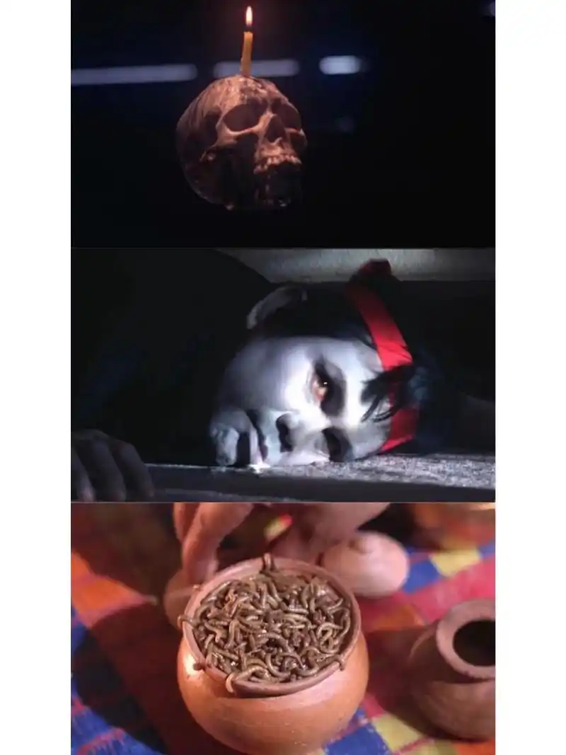 2分      片名:蛊 吃过饭的,正在吃的,还没吃的,都不要看这个片