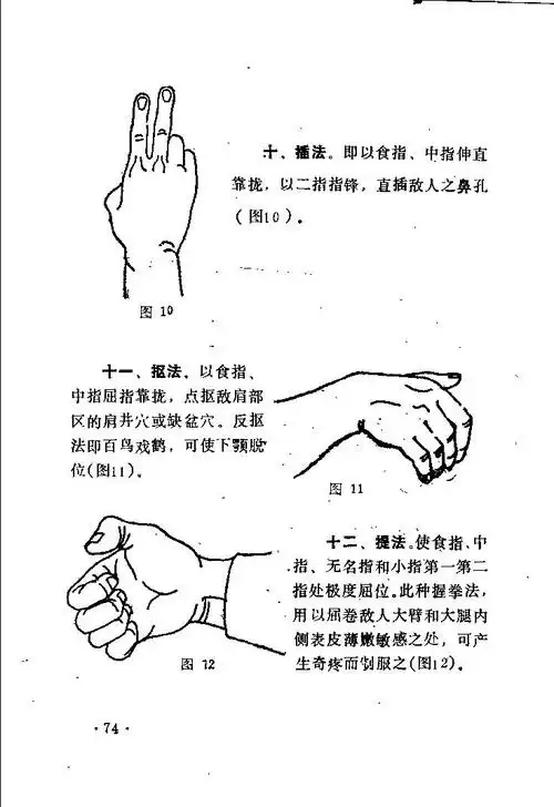 中国传统擒拿36式