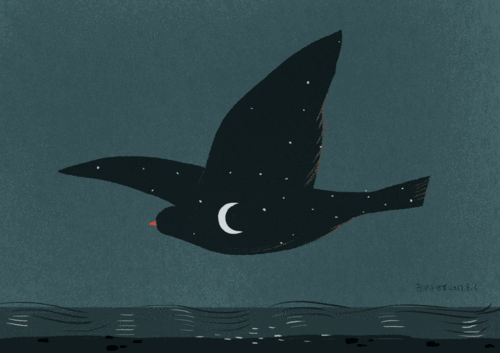 唱一首关于冬天的歌谣鸽子61宋冬野尤克里里弹唱教学曲谱