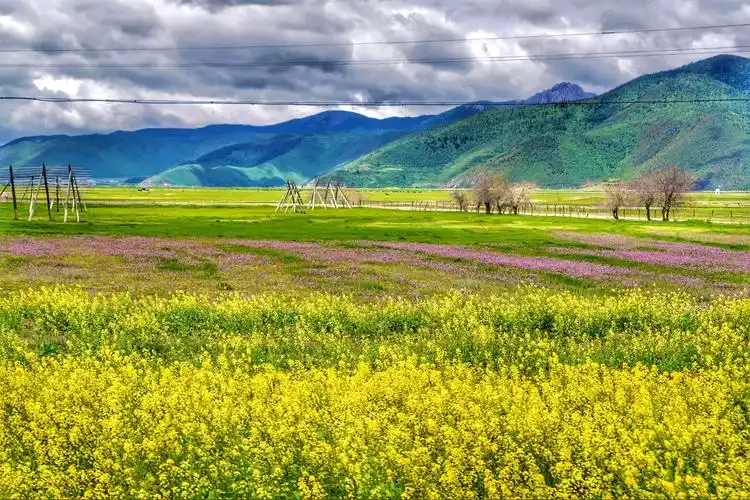 云南之旅(梅里雪山-松赞林寺-香格里拉)