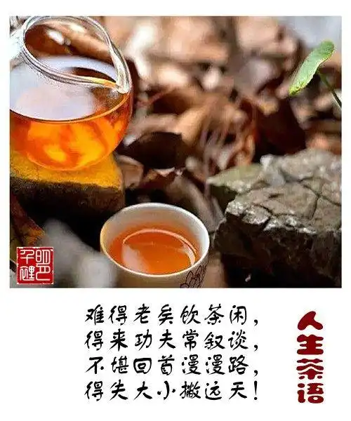人生茶语 【原创】