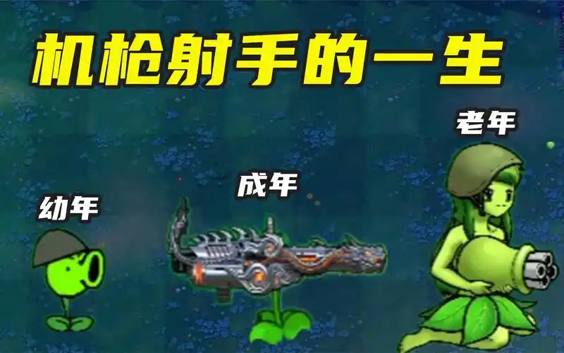 植物大战僵尸:机枪射手的一生,是个女生?成年获得炼狱加特林!