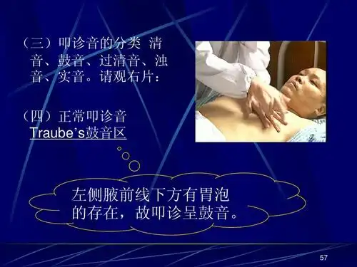 请观右片: (四)正常叩诊音 traubes鼓音区 左侧腋前线下方有胃泡 的