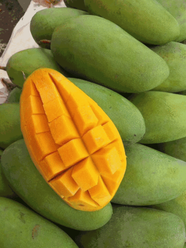 十一国庆你们出去堵车,我留在启东去大润发泰芒了享受半价优惠!