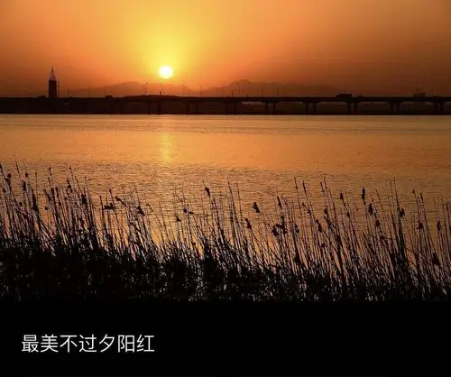 最美夕阳红