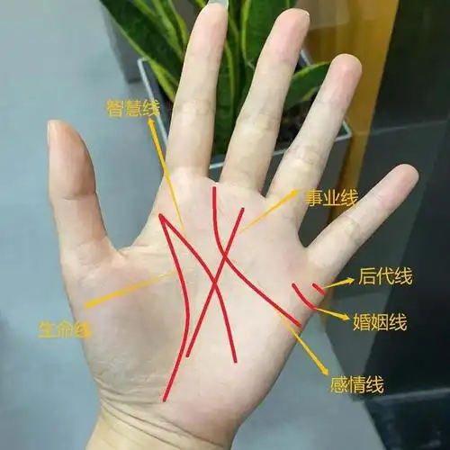 老祖宗俗语:"三角纹在手,富到九十九",啥是三角纹?准不准|富贵|命运|