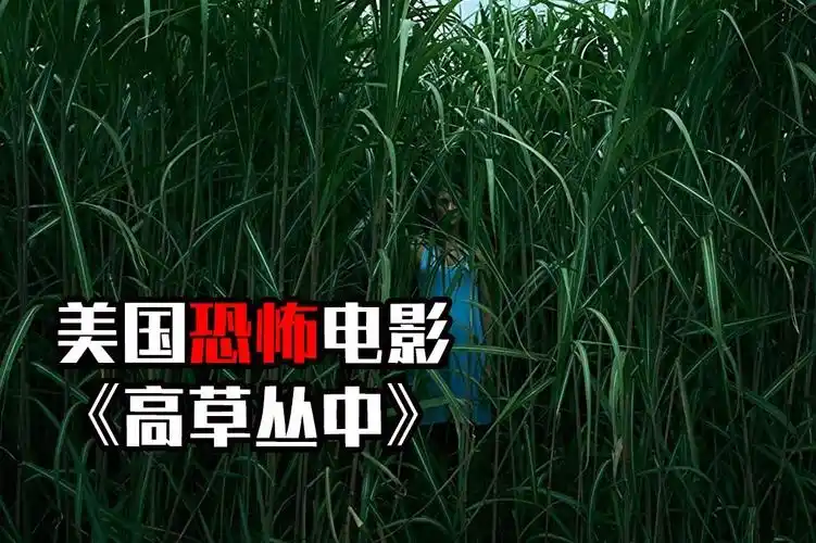 胆小者看的恐怖电影解说几分钟看完美国恐怖电影高草丛中