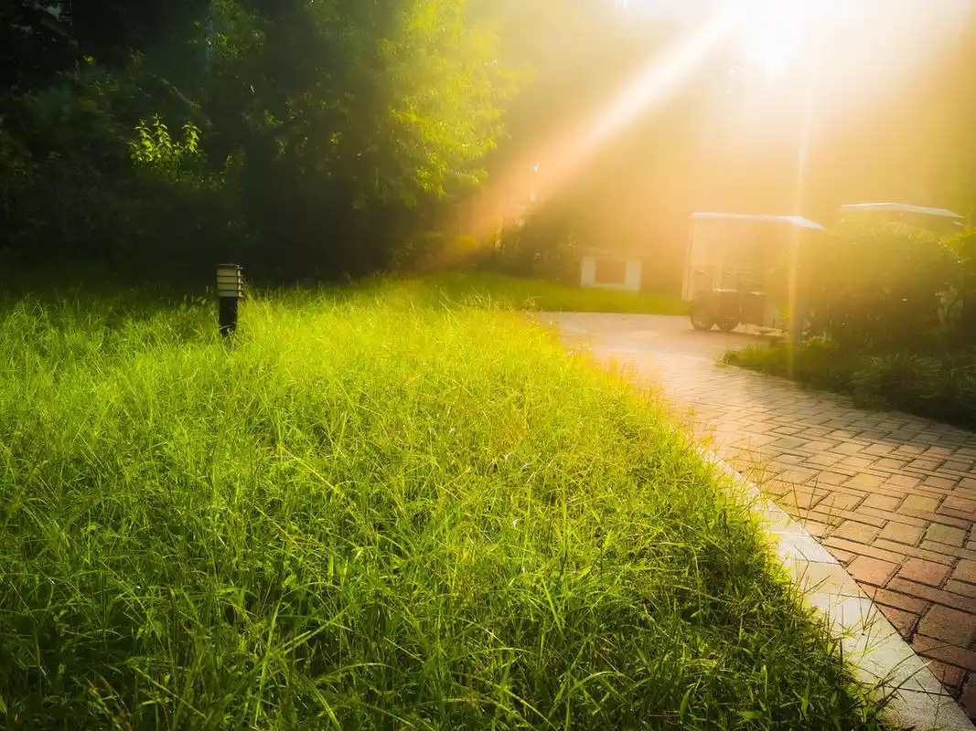 阳光灿烂的清晨