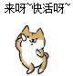 来呀快活呀表情包