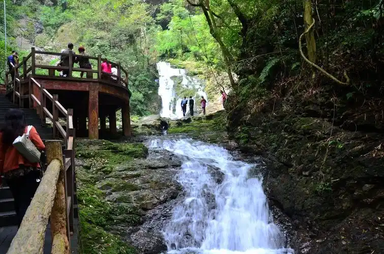 重庆万盛游之黑山谷